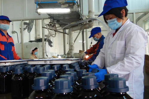 光華科技榮獲“全國(guó)石油和化學(xué)工業(yè)先進(jìn)集體”稱號(hào)，彰顯化工技術(shù)創(chuàng)新硬實(shí)力